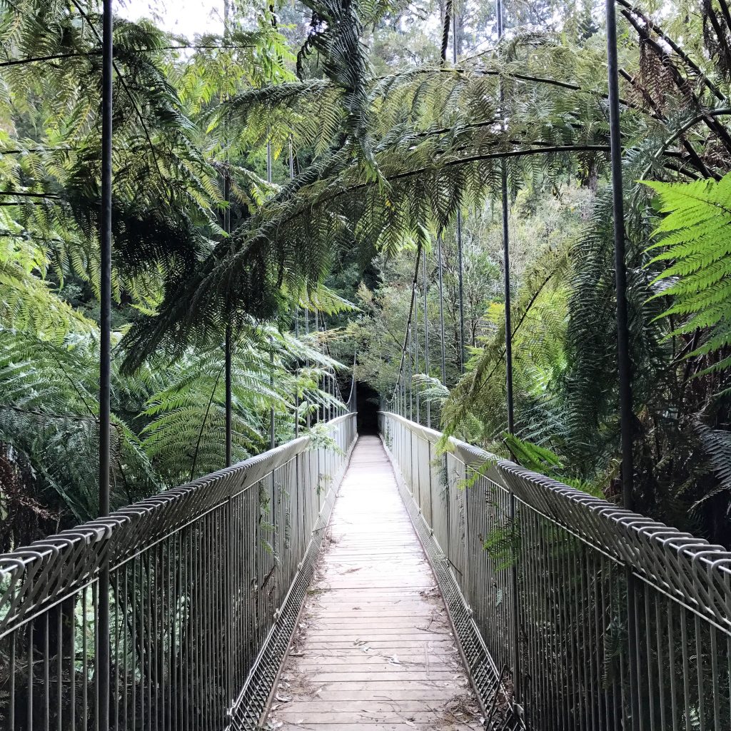 TarraBulga National Park Decent Intention